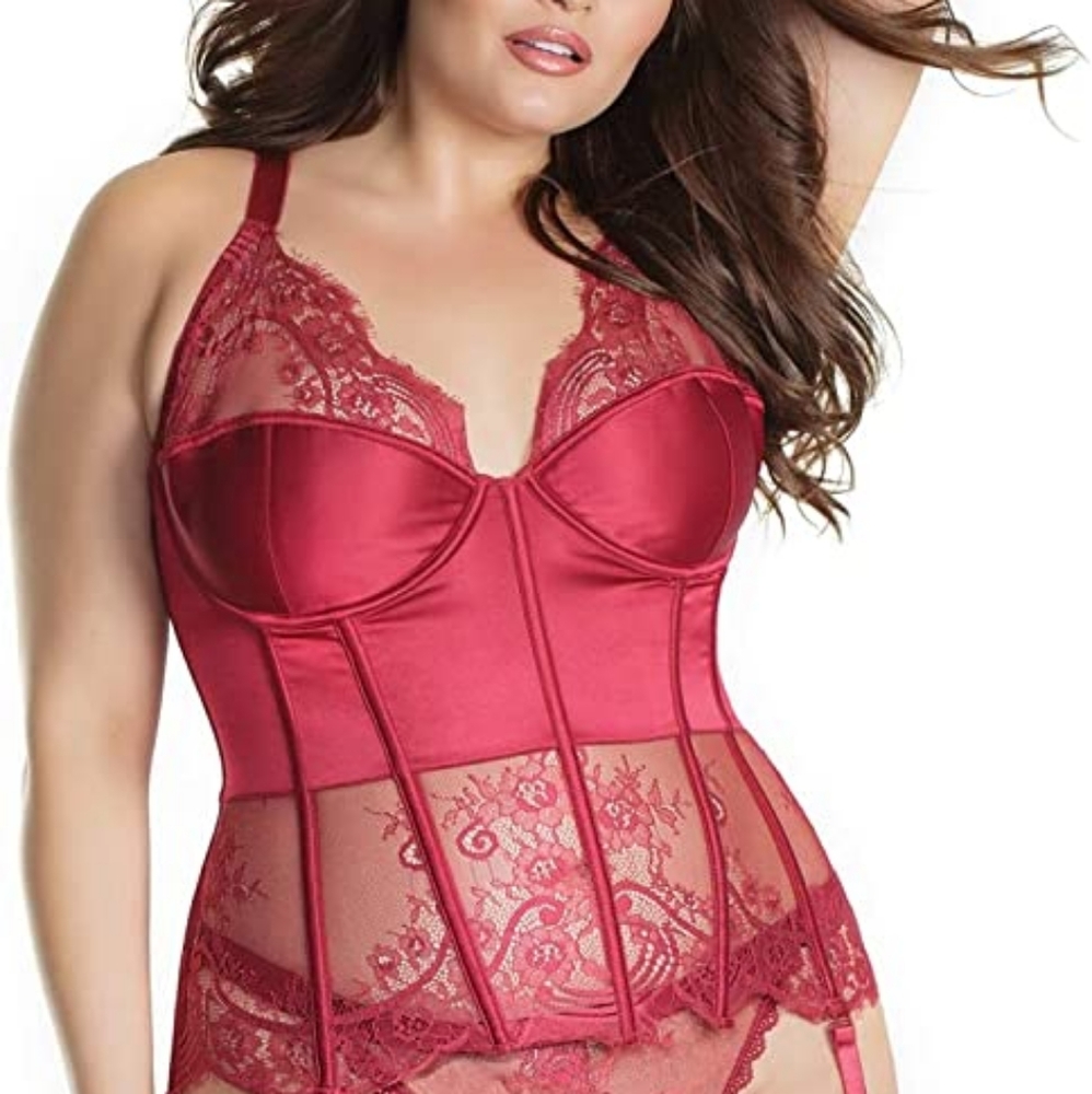 BNWOT Lacy Corset Bustier